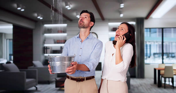 Best Water damage restoration near me  in Swansboro, NC