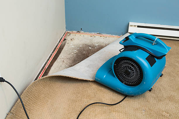 Best 24-hour water damage restoration  in Swansboro, NC